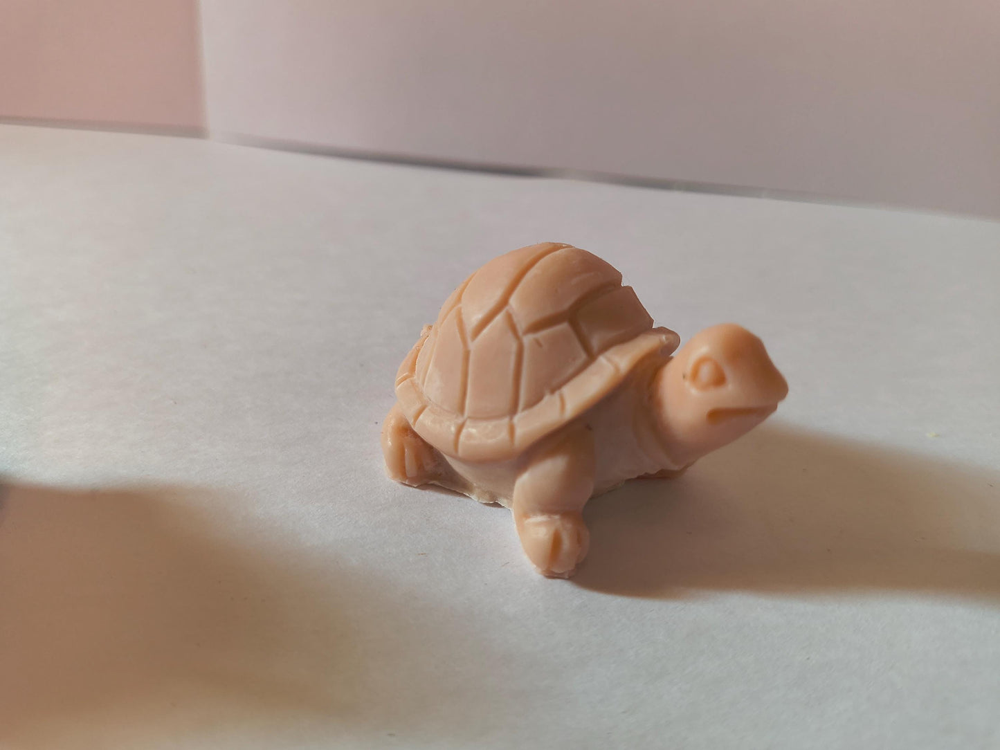 Turts!