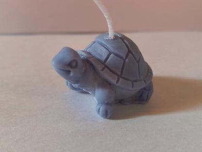 Turts!