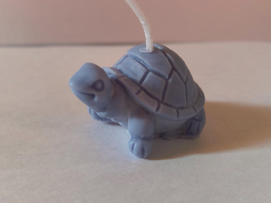 Turts!
