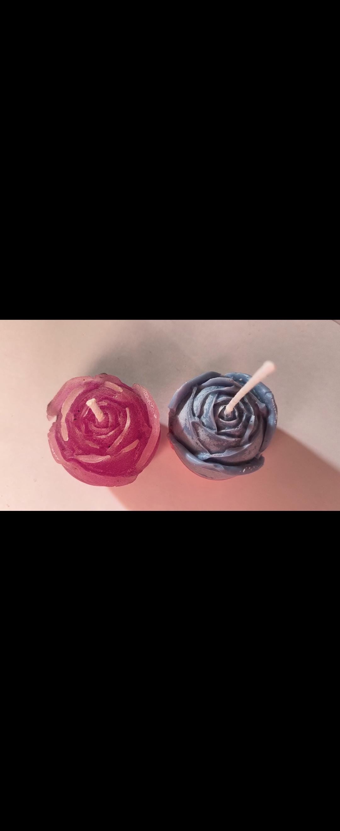 Let's bloom!