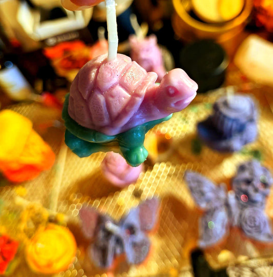 Turts!
